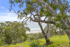 Stradbroke Accommodation Ideas