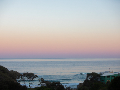 “The Cove” 0