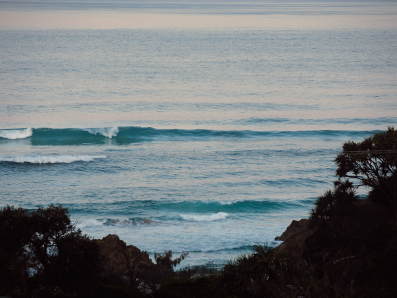 “The Cove” 0