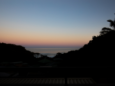“The Cove” 0