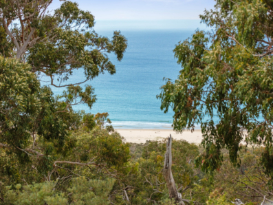 85 Tramican Street, Point Lookout 0