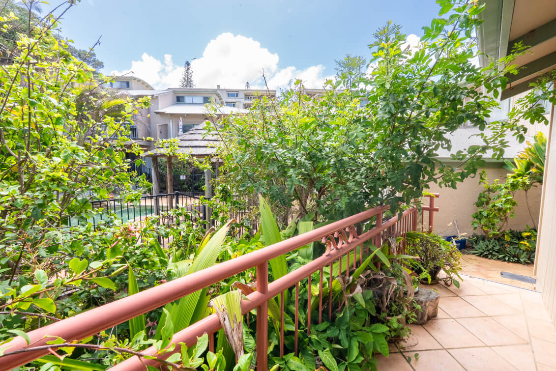 Garden outdoor space with lush greenery and island feel