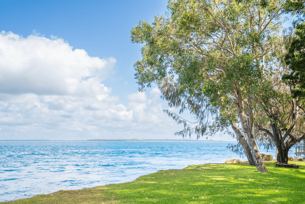 Coastal home accommodation beachfront outlook with shady trees