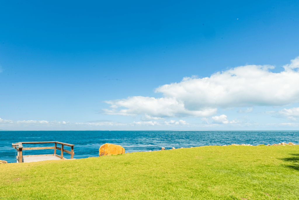 Coastal home accommodation beachfront grass reserve and ocean views